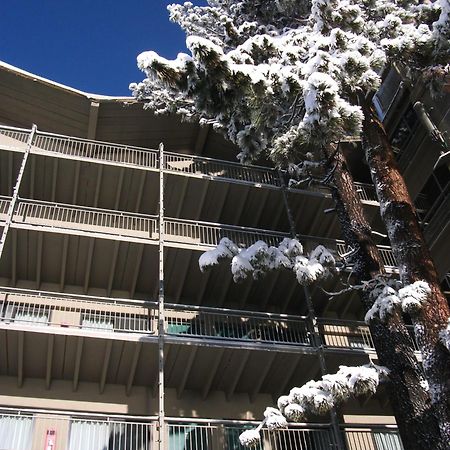 Pepper Tree Inn טאהו סיטי מראה חיצוני תמונה