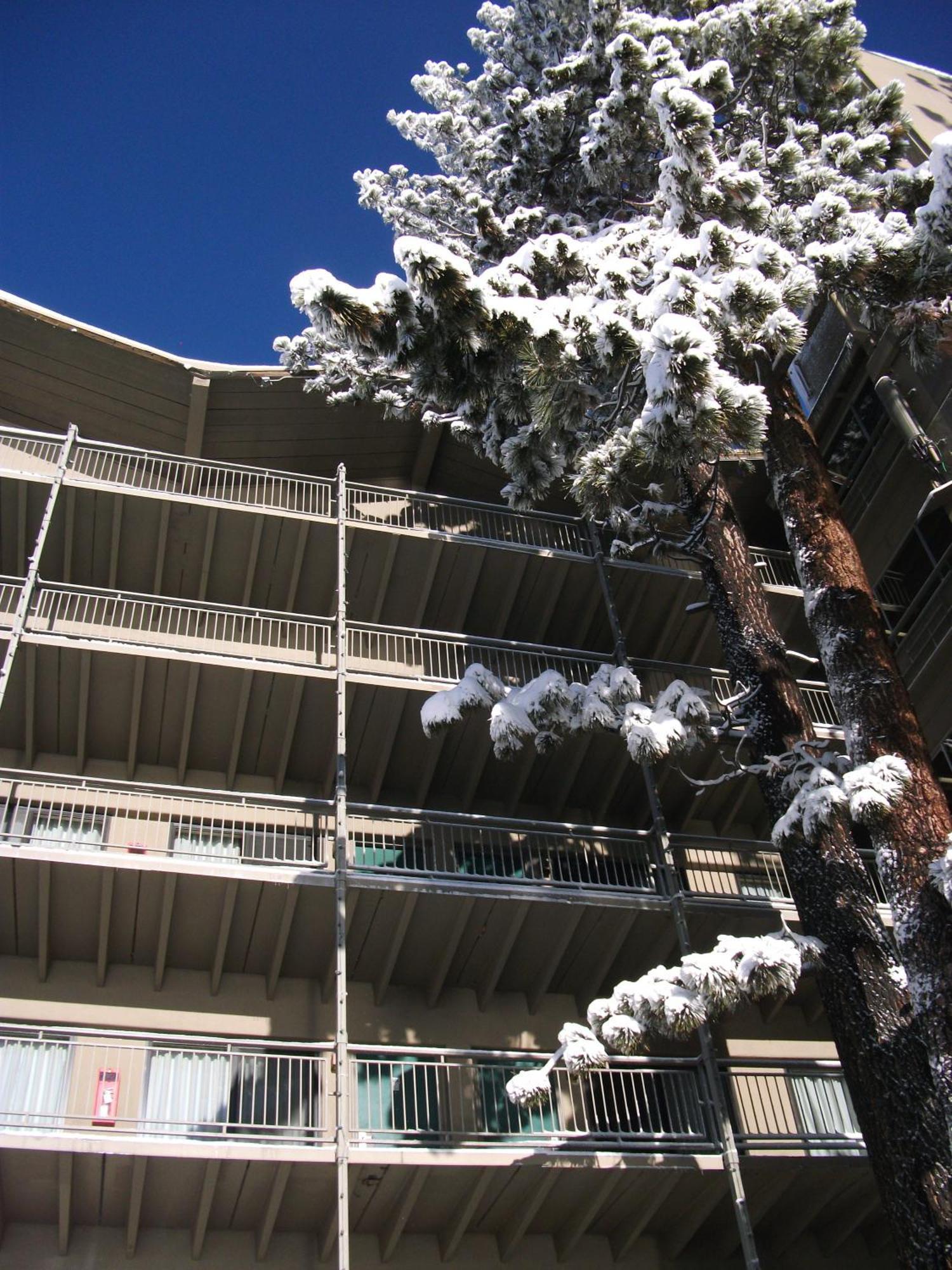 Pepper Tree Inn טאהו סיטי מראה חיצוני תמונה